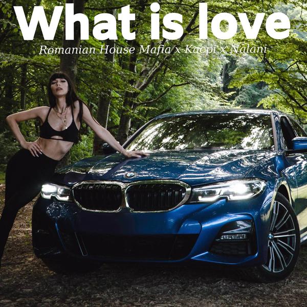 Romanian House Mafia, Kacpi, Nalani - What Is Love