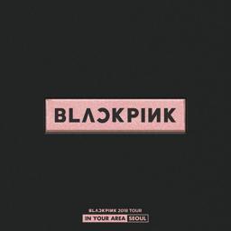 BLACKPINK - PLAYING WITH FIRE (Live)